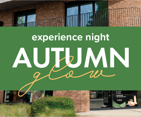 Experience Night Edegem